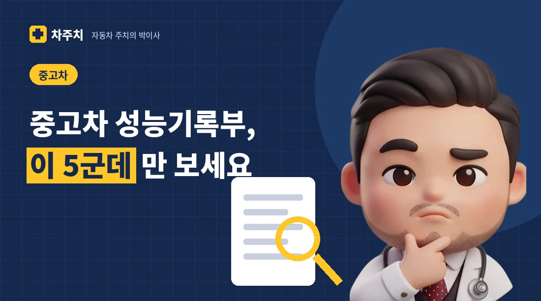 돋보기로 중고차 성능기록부를 살펴보는 자동차 주치의 박이사 캐릭터